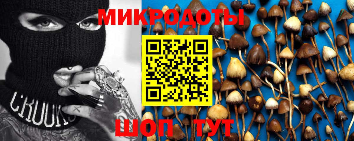 Псилоцибиновые грибы MAGIC MUSHROOMS Серпухов